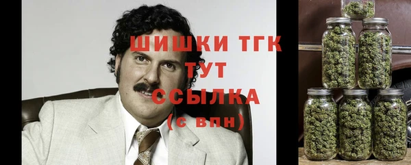 2c-b Алзамай